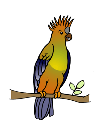 Cockatoo 1 Coloring Pages