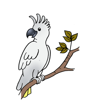 Cockatoo 2 Coloring Pages