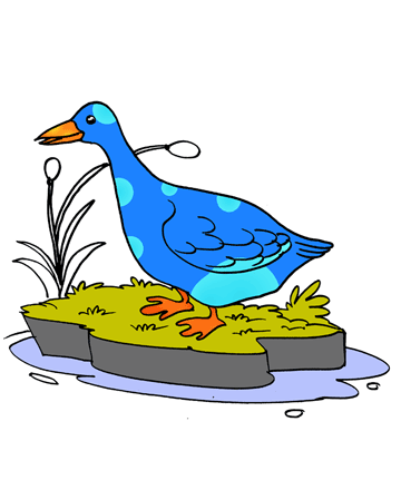 Duck 1 Coloring Pages