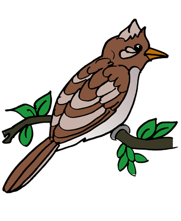 Nightingale Coloring Pages