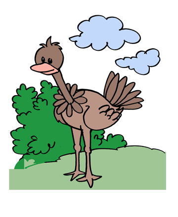 Ostrich 2 Coloring Pages