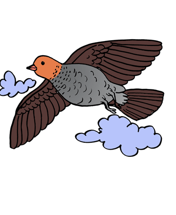 Partridge 1 Coloring Pages