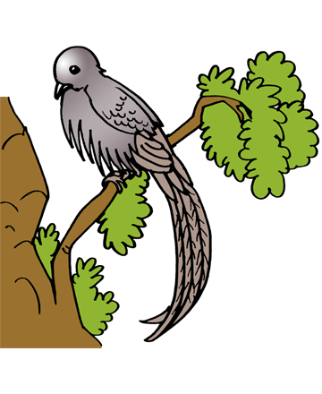 Plover 2 Coloring Pages