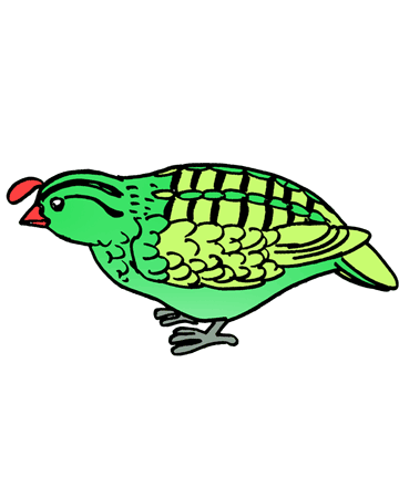 Quail 1 Coloring Pages