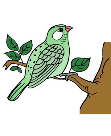 Sparrow 1 Coloring Pages