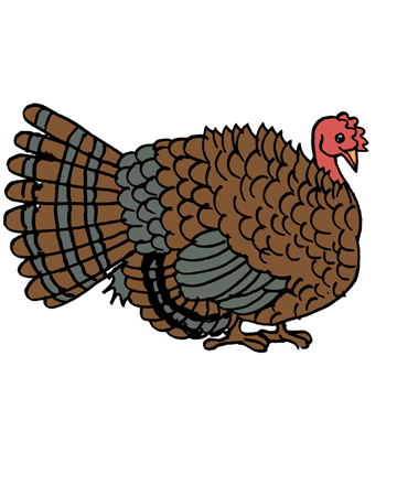 Turkey 1 Coloring Pages