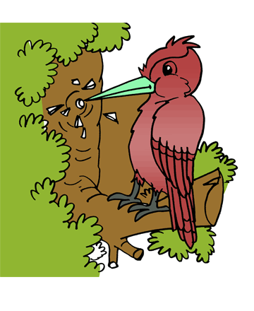 Woodpecker 2 Coloring Pages