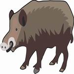 Boar Coloring Pages