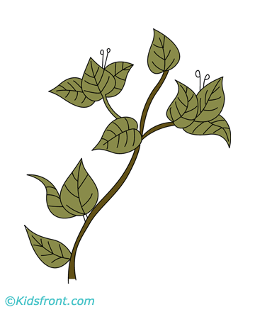 Bougainvillea Coloring Pages