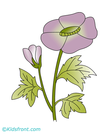 Buttercup Coloring Pages