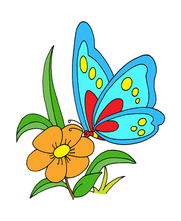 Blue Butterfly Coloring Pages