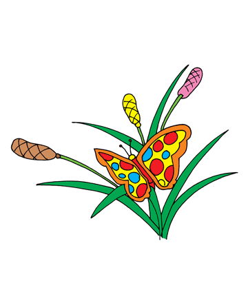 Butterfly Wings Coloring Pages