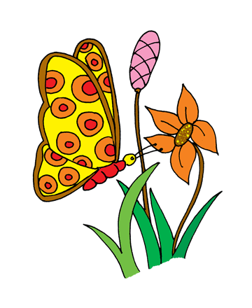 Common Butterfly Coloring Pages