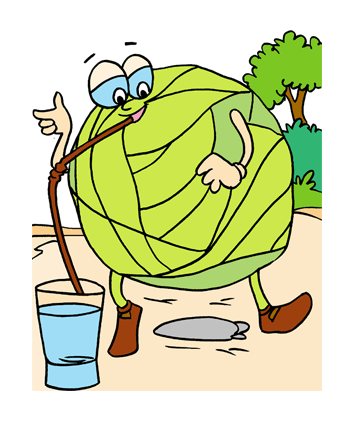 Cabbage2 Coloring Pages