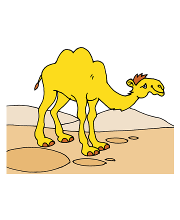 Desert Camels Coloring Pages