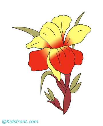 Canna Coloring Pages