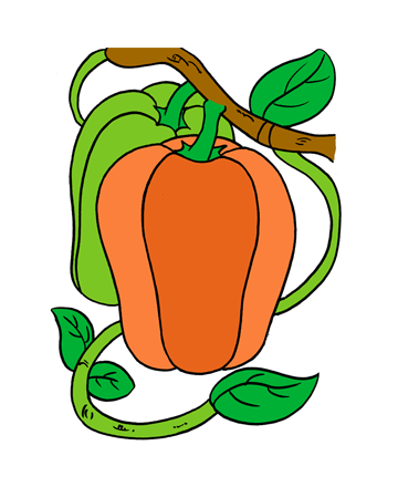 Capsicum1 Coloring Pages