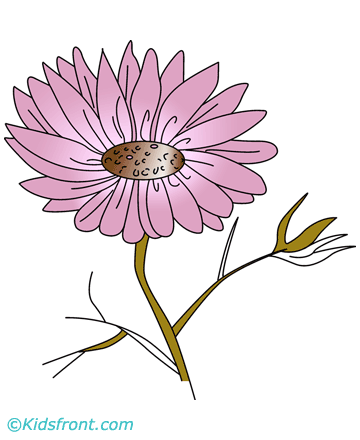 Cosmos Coloring Pages