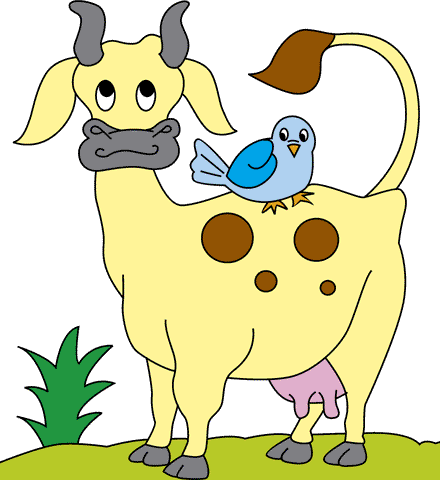 Cow With Bird Coloring Pages