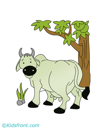 Old Cow Coloring Pages