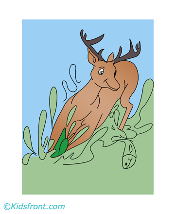 Cute Deer Coloring Pages