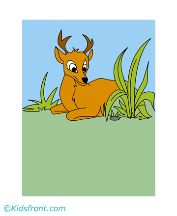 Resting Deer Coloring Pages