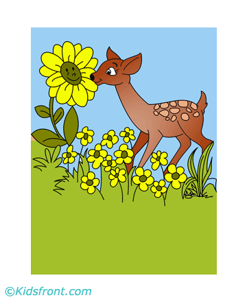 Deer Coloring Pages