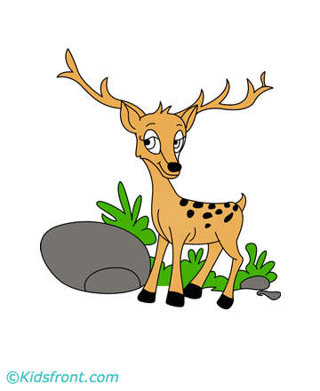 Baby Deer Coloring Pages