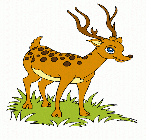 Deer In Jungle Coloring Pages