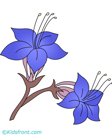 Desert Bluebell Coloring Pages