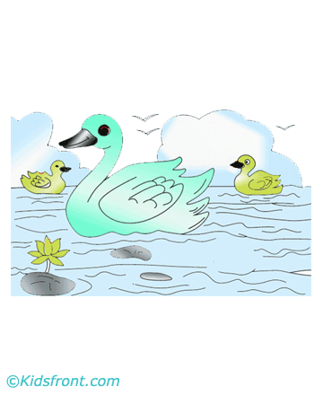 Duck In Water Coloring Pages