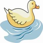 Swimming Duck Coloring Pages