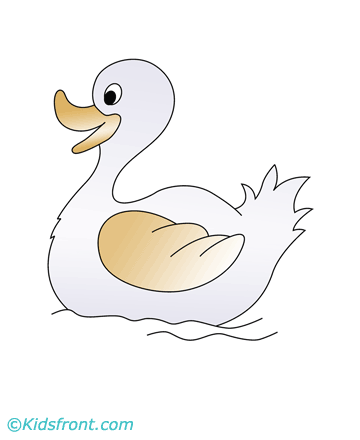 Duck In Water Coloring Pages