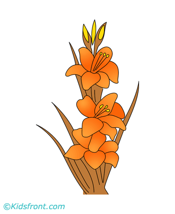 Gladiolus Coloring Pages