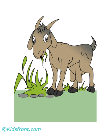 Grazing Goat Coloring Pages