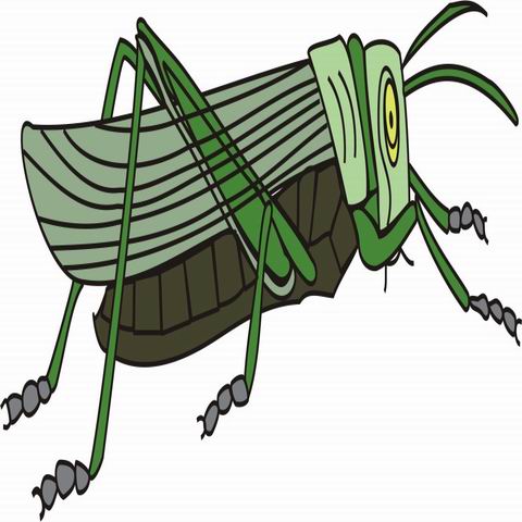 Grasshoper Coloring Pages