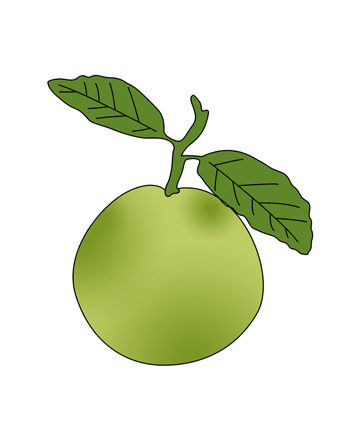 Guava Coloring Pages