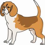 Hound Coloring Pages