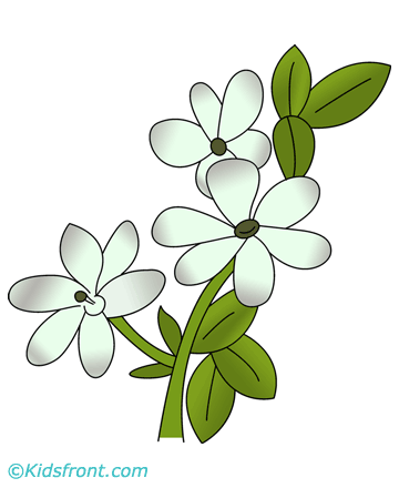 Jasmine Coloring Pages