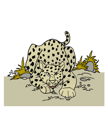 Panther Leopard Coloring Pages