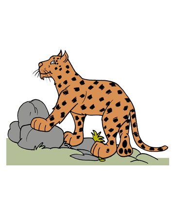 German Leopard Coloring Pages