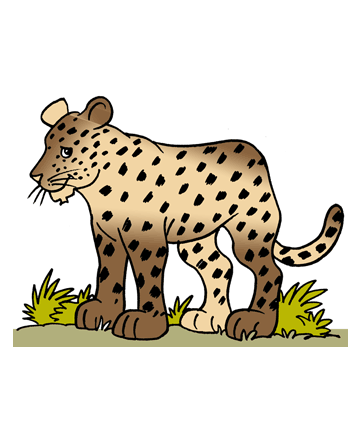 African Leopard Coloring Pages