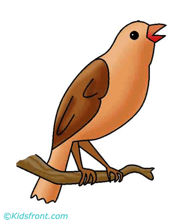 Bird Coloring Pages