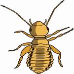 Louse Coloring Pages