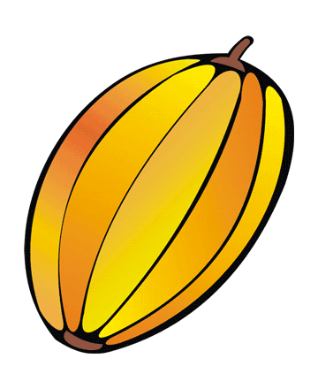 Muskmelon Coloring Pages