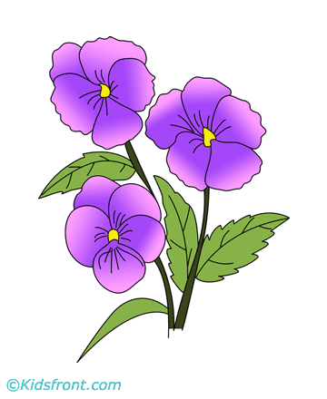 Pansy Coloring Pages