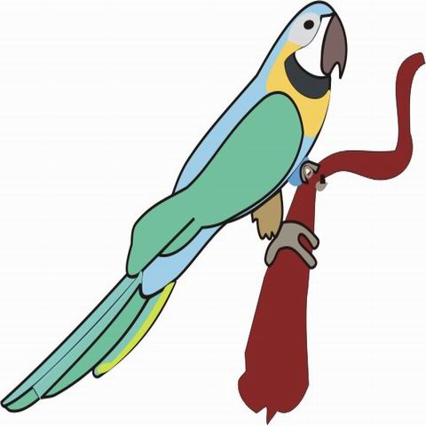 Parrot Coloring Pages