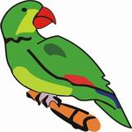 Green Parrot Coloring Pages