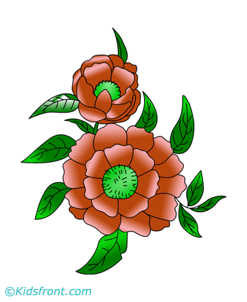 Peony Coloring Pages