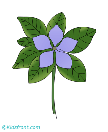 Periwinkle Coloring Pages